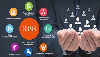 HRMS & Payroll System